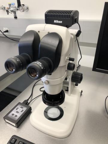 Nikon Stereo Microscope